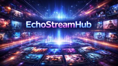 EchoStreamHub