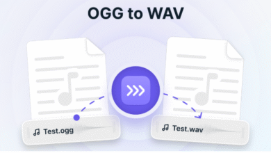 Can I Convert OGG to WAV