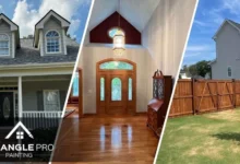 Triangle Pro Painting