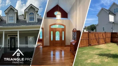 Triangle Pro Painting