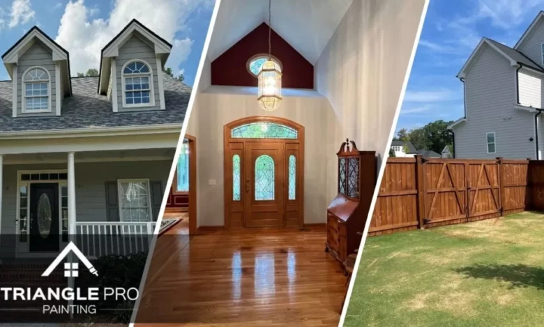 Triangle Pro Painting