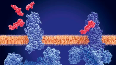 GLP1 and Metabolic Health Are Reshaping Primary Care