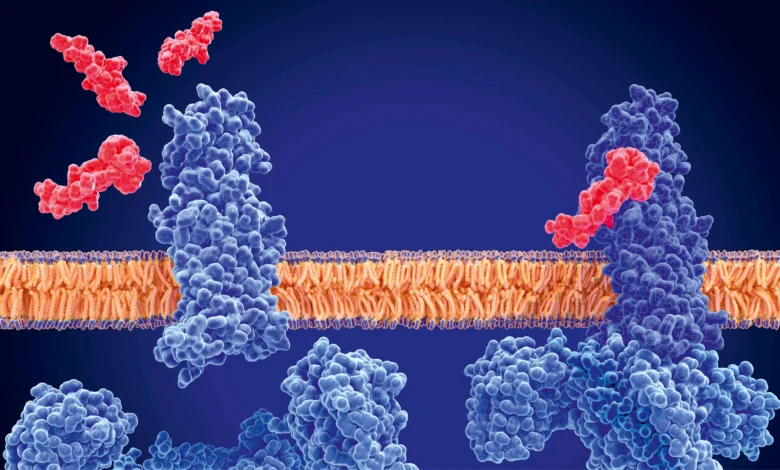 GLP1 and Metabolic Health Are Reshaping Primary Care