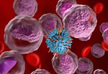 Stem Cell Diagnosis and Evaluation A Complete Guide for Patients