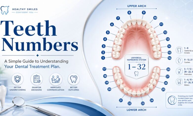 Teeth Numbers