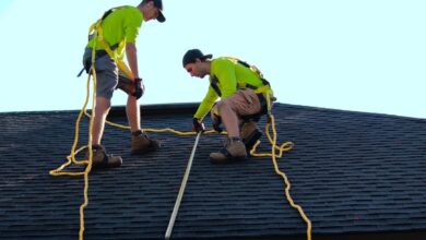 Roof Expert