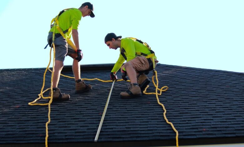 Roof Expert