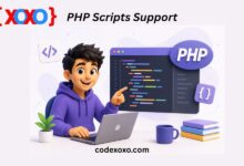 PHP Scripts