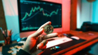 Crypto or Stocks