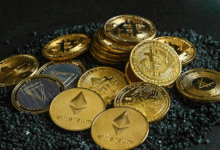 Crypto or Stocks