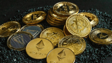 Crypto or Stocks