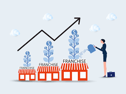 Profitable Franchise