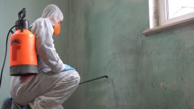 Pro Mold Remediation