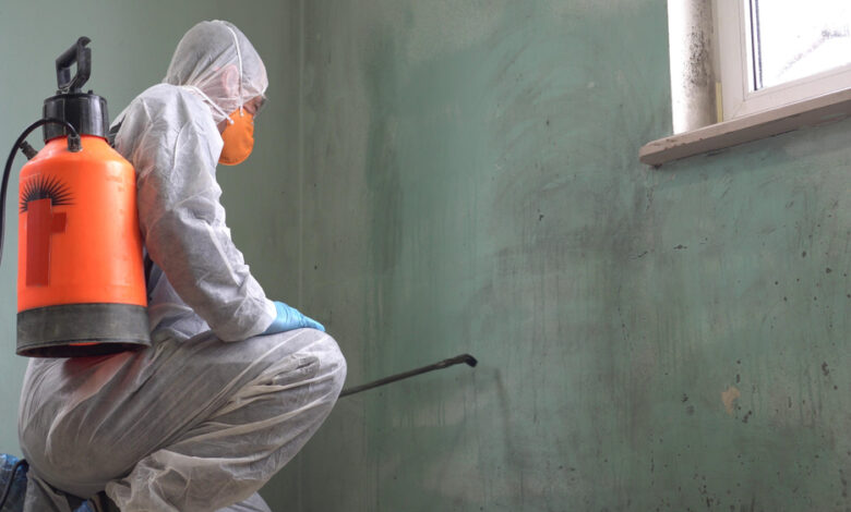 Pro Mold Remediation