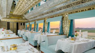 Palace on Wheels