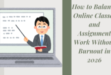 Online Classes and Assignment Work