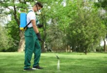 Pro Pest Exterminator