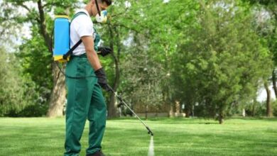 Pro Pest Exterminator