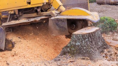 Stump Removal