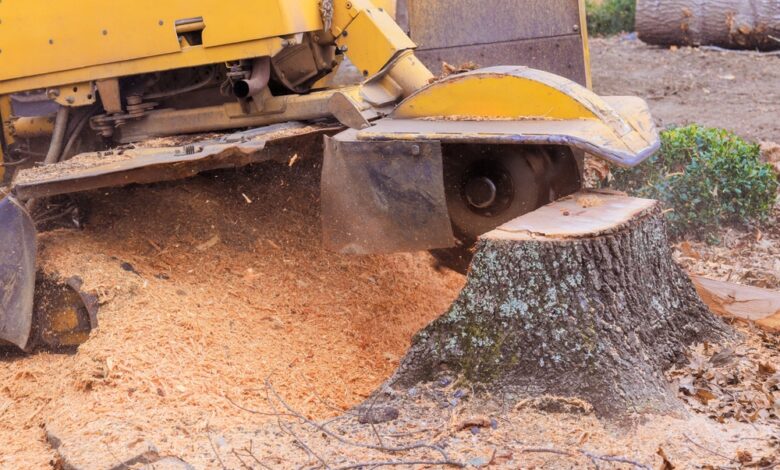 Stump Removal