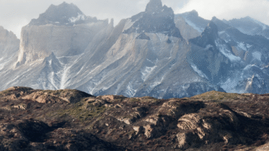 10 Things Every Rock Hound Should Look for in a Quality Rock Bag (Before Buying)
