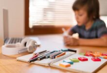 What Parents Should Know Before Starting Homeschooling in Florida