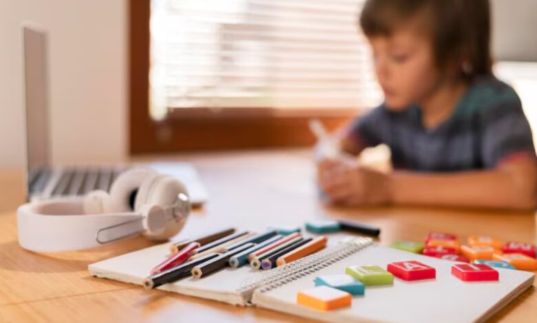 What Parents Should Know Before Starting Homeschooling in Florida