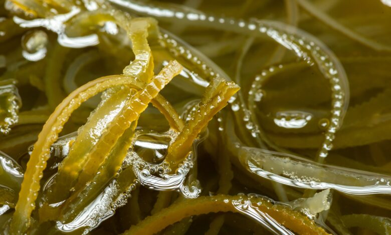 Sea Moss