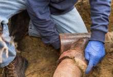 Drain Problem